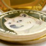 El gestor de cartera de VanEck dice que los proyectos cripto deben emular las características clave de los memecoins